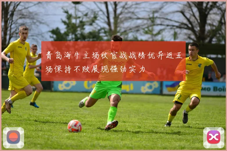 青岛海牛主场收官战战绩优异近五场保持不败展现强劲实力